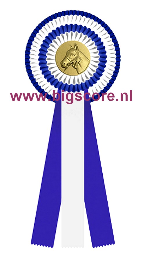 R 04 Multi 4-Ringsrozet Ø 15,5 L: 39,5 cm Blanco met optie Full-Colour logo Ø 50 mm